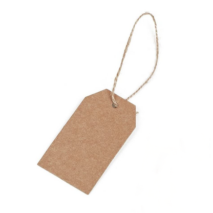 Gift Bag w/ Tissue Paper
