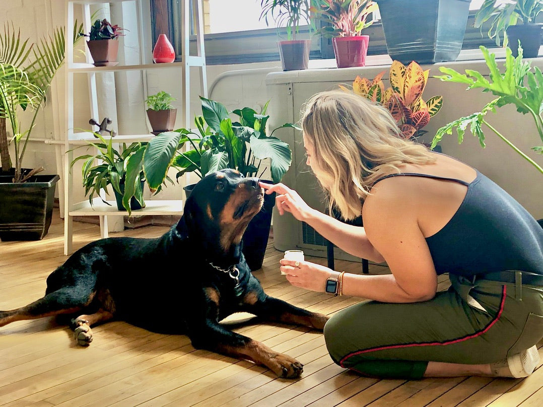 Woman applying Seger Park Dog Balm on her dog